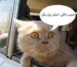 ورود دخترها ممنوع‎