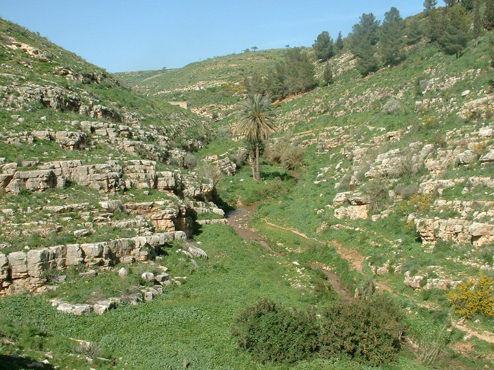 وادي الفارعه