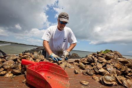 North Carolina Shellfish Growers Association