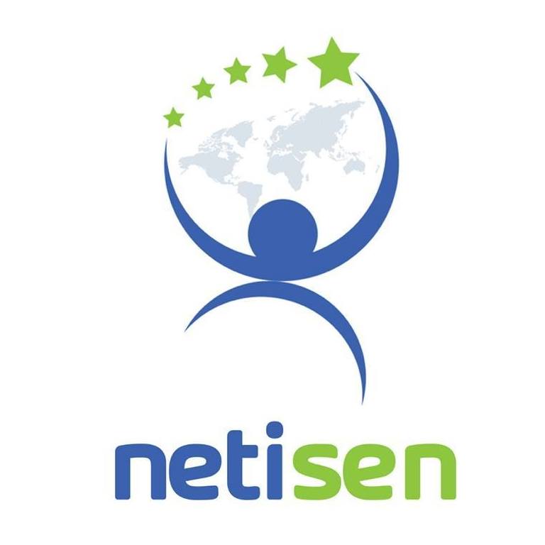 netisen