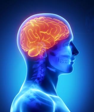 Smart Human Physiology
