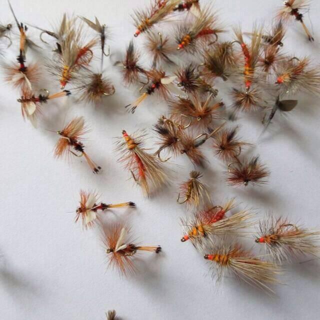 Anzetse flies