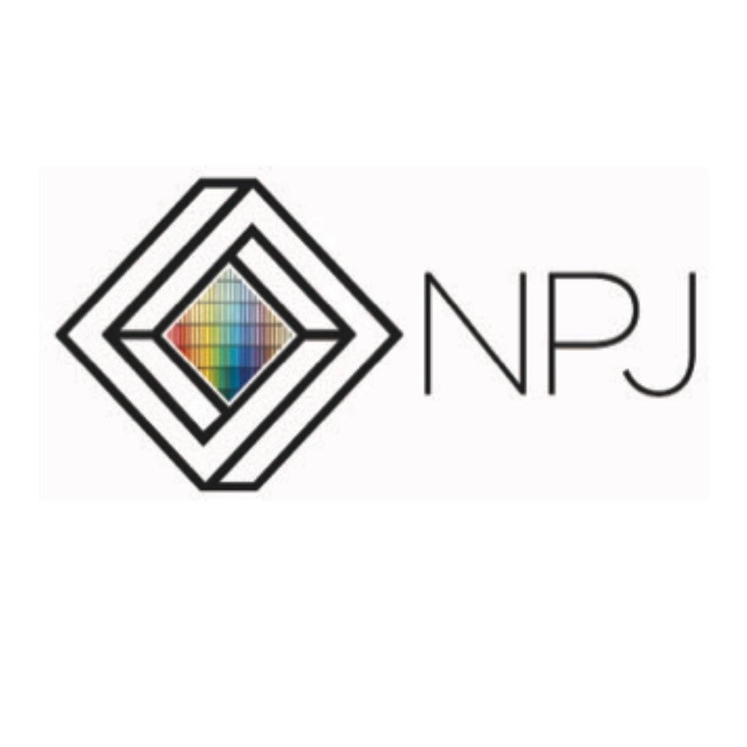 NPJ plâtrerie/isolation | La Couronne