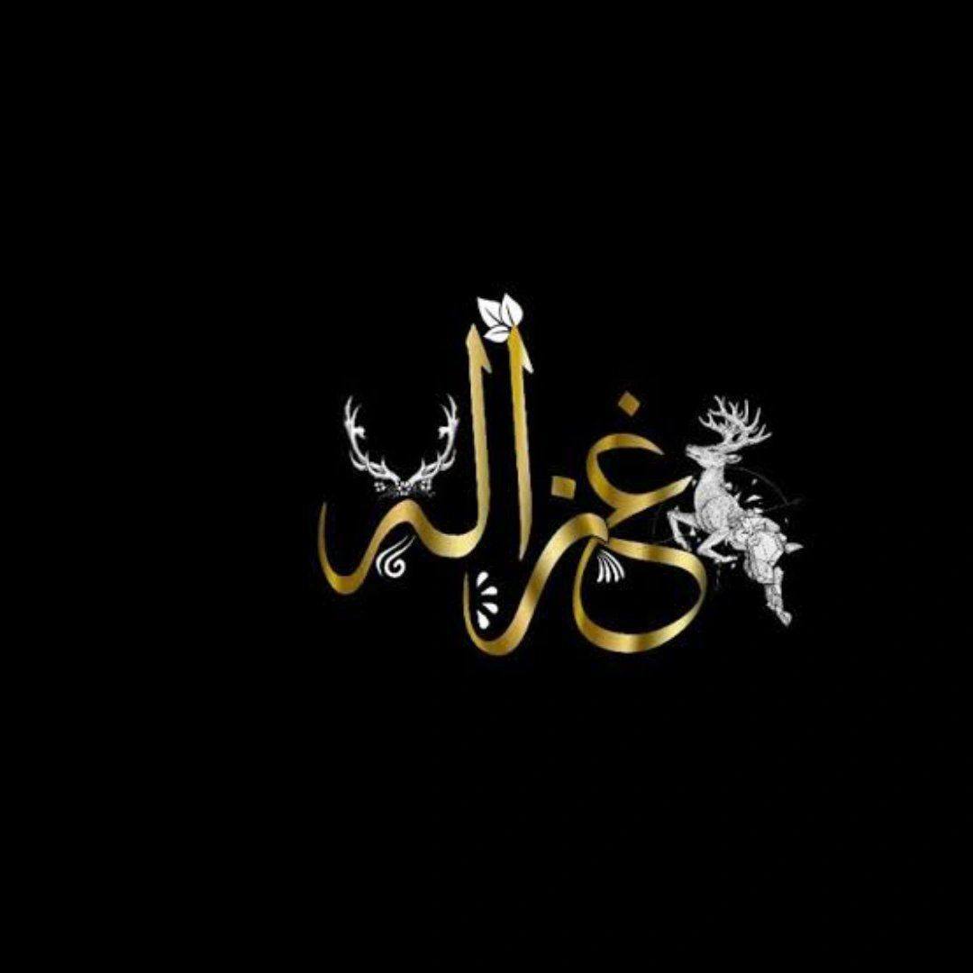 غزالة | El Iskandariya