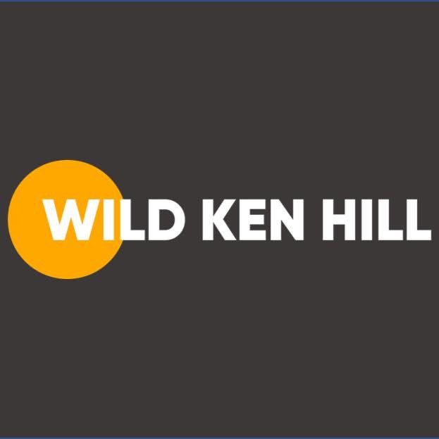 UK Bees, Wasps and Ants | Hornet at nest Sandwell rspb Grid SPO35928 ...
