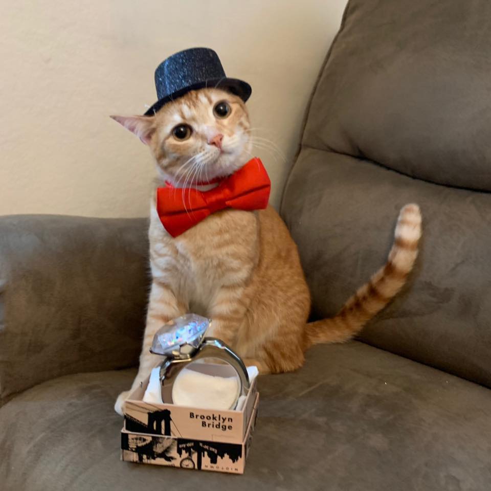 Mr. Cuddles' World