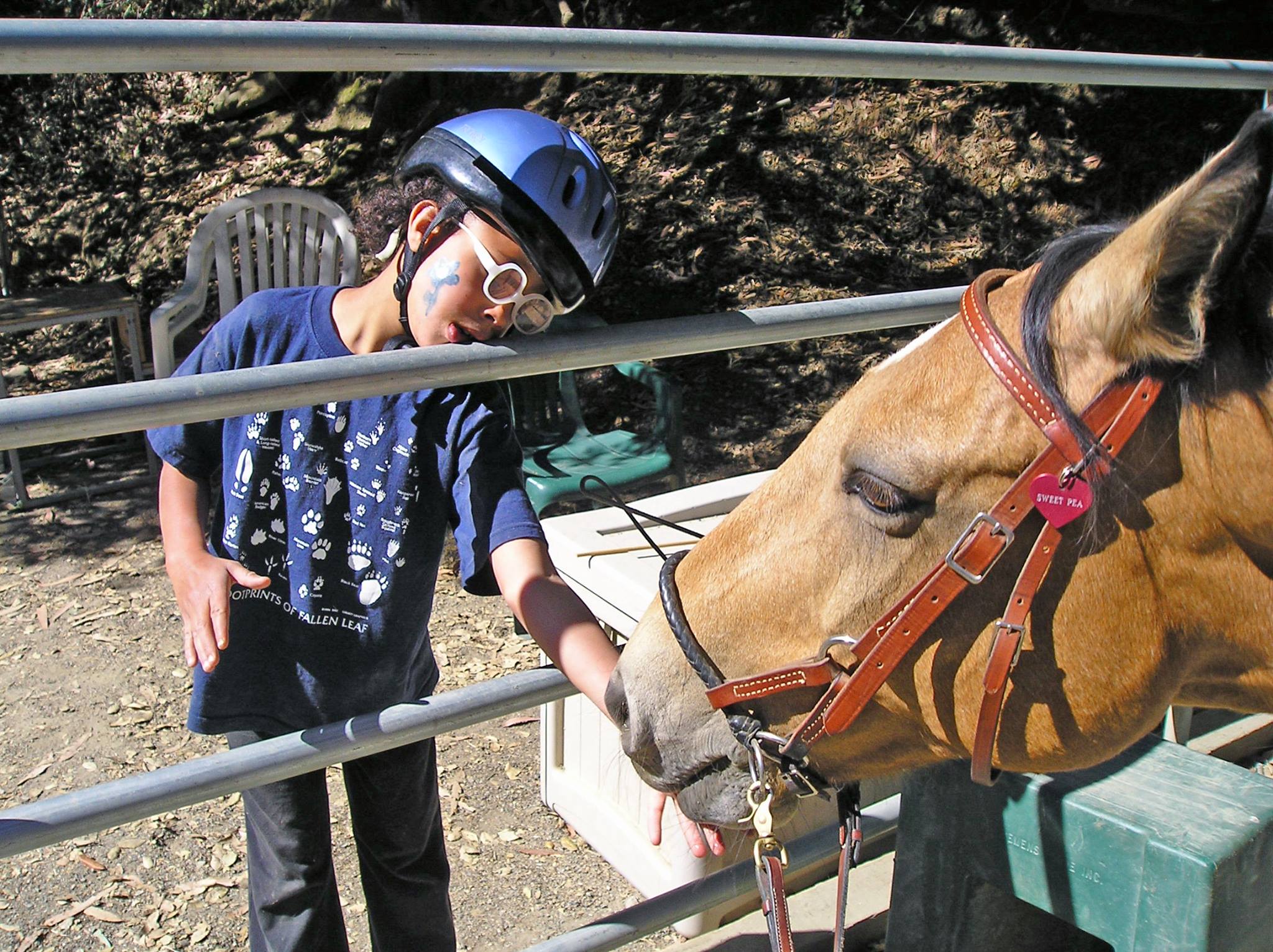 Starlight Therapeutic Riding Program -STRP | Oakland CA