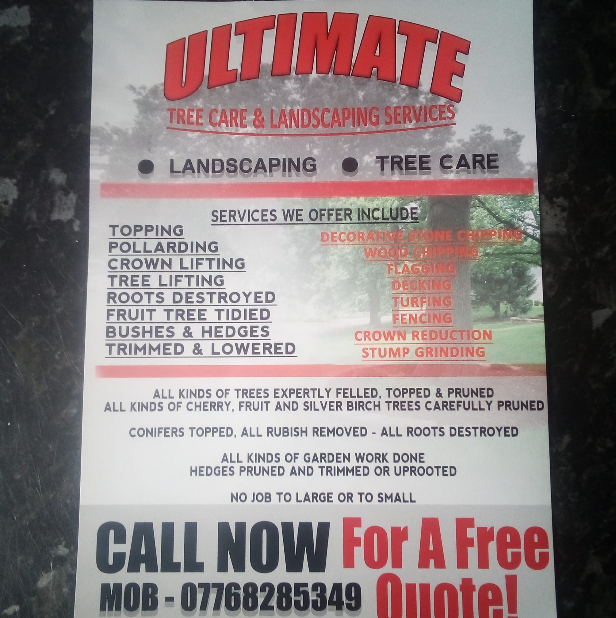 Ultimate tree care & landscaping services | County Durham
