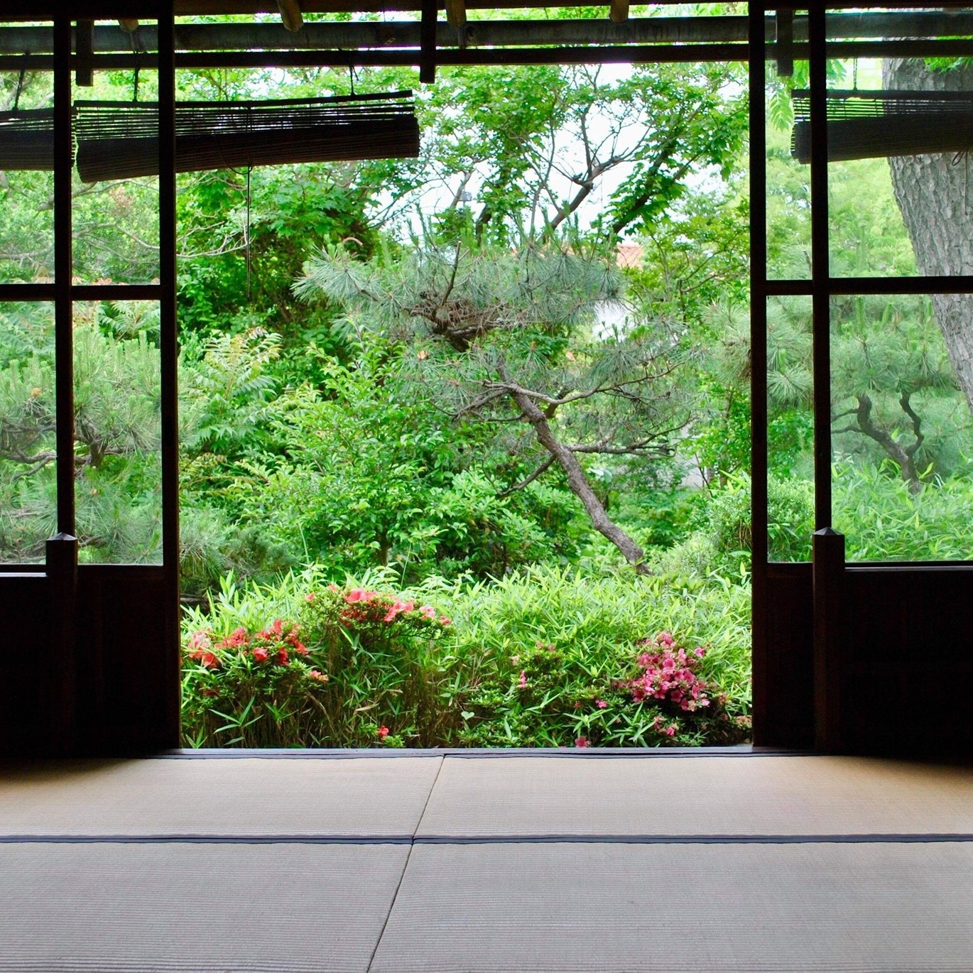滴水庵 | Tsujidoutaiheidai Kanagawa