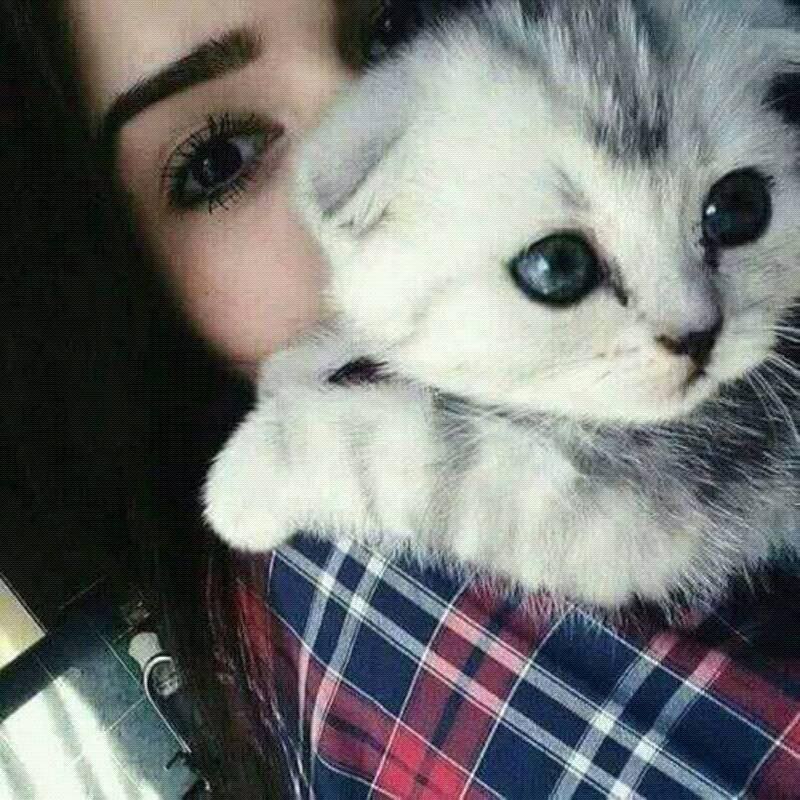 Mamiy mamiy