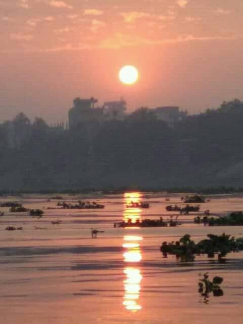 Md Rashed Uddin Robi