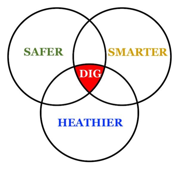 The DIG Program