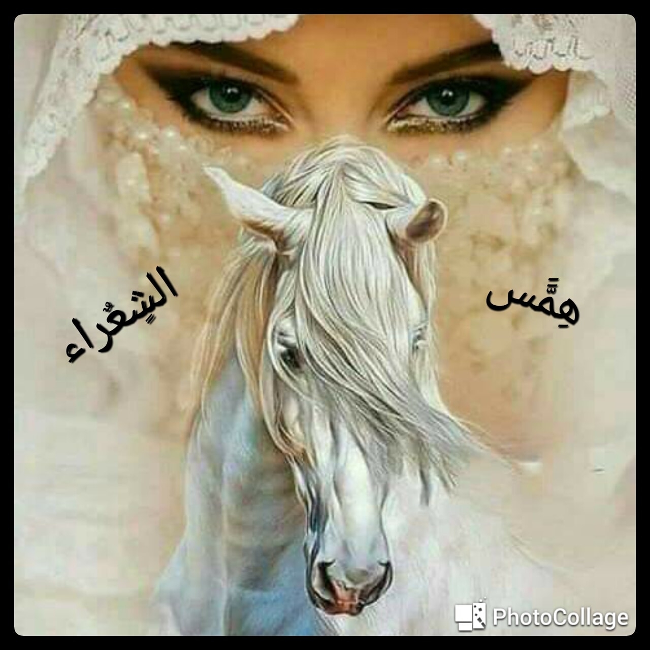 هَِّس الشٍعٌراء