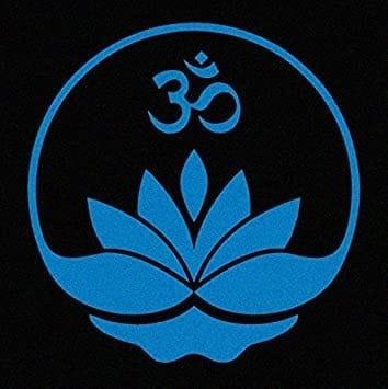 Blue Lotus Yoga LLC | Peru IN