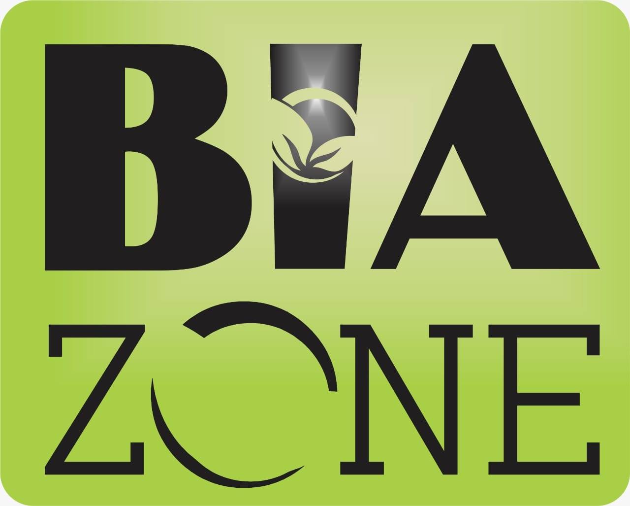BIA Zone | Irapuato
