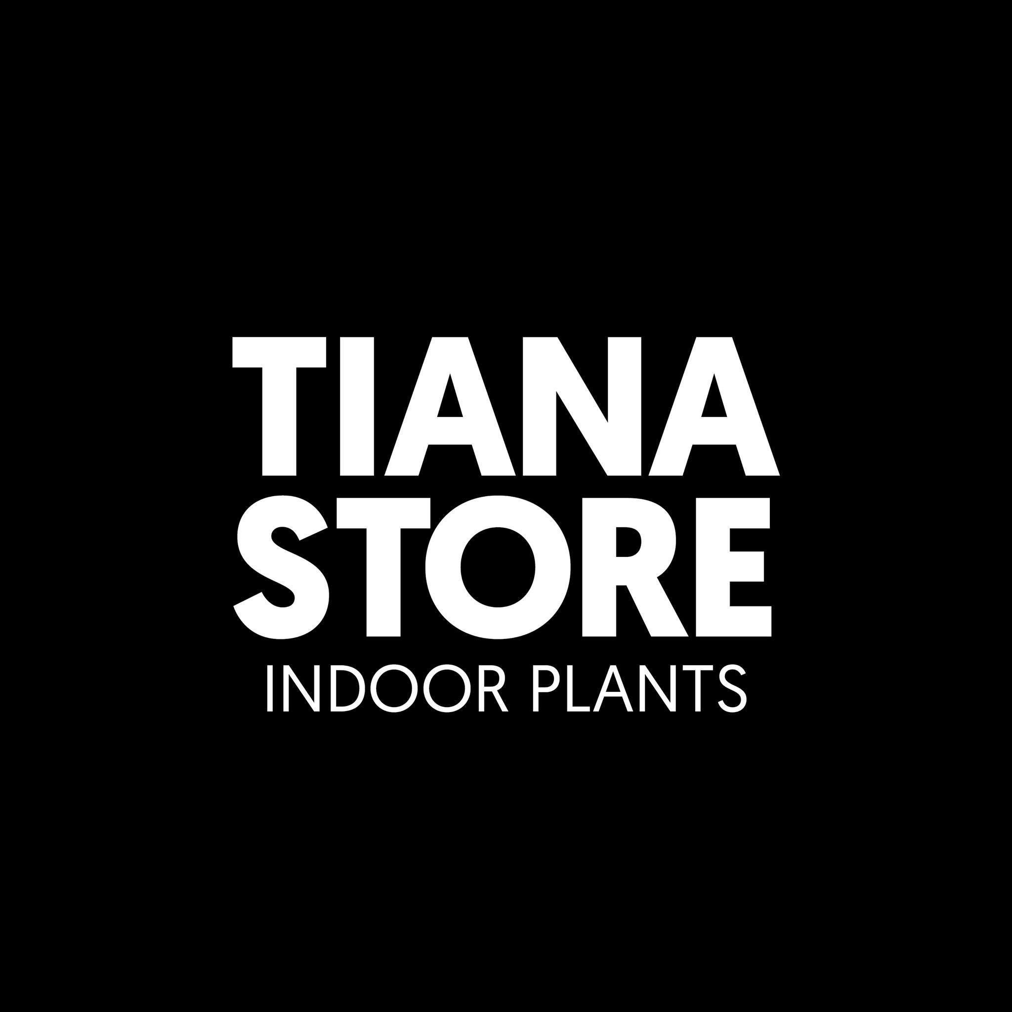 TIANA STORE | Sagamihara-shi Kanagawa