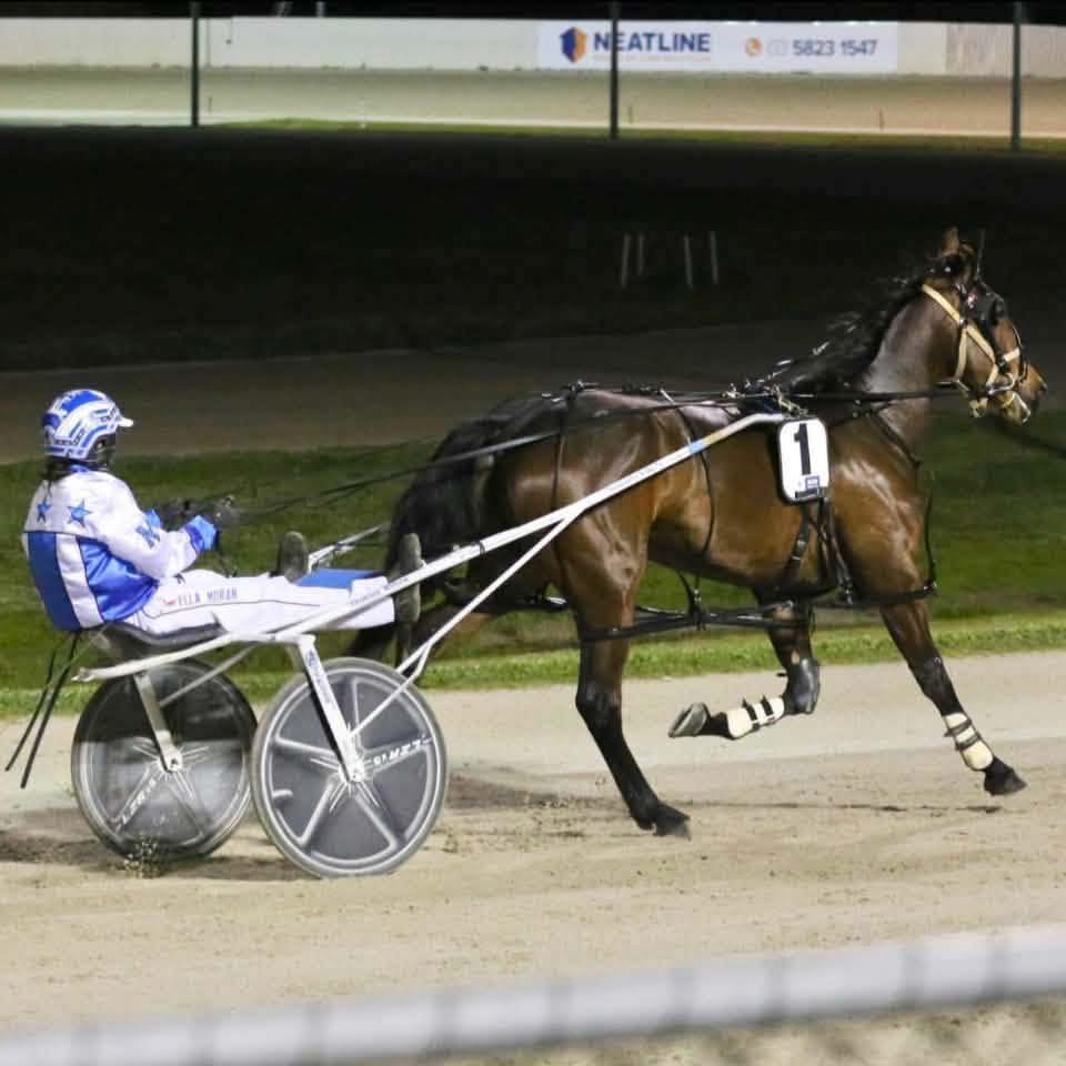 Harness Racing Victoria - Love this pic as two young fans ask David ...