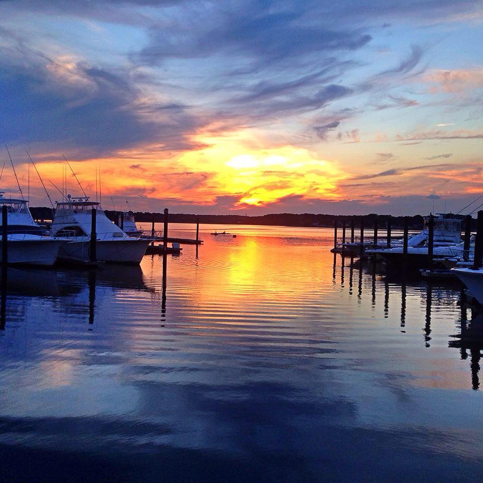 Shark River Shellfish | Belmar NJ