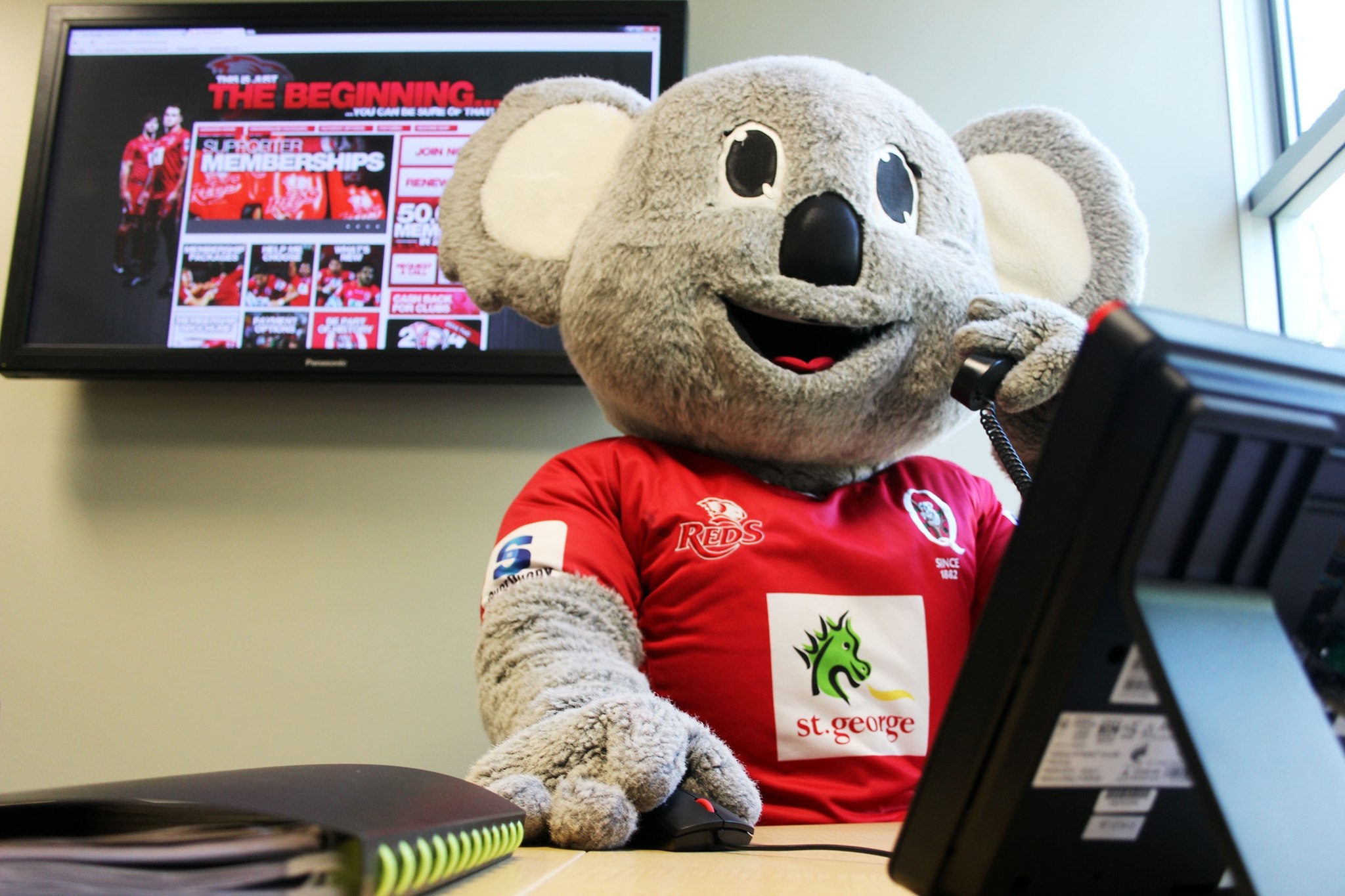 Rusty the Koala | Roma QLD