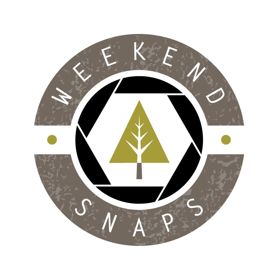 Weekend Snaps