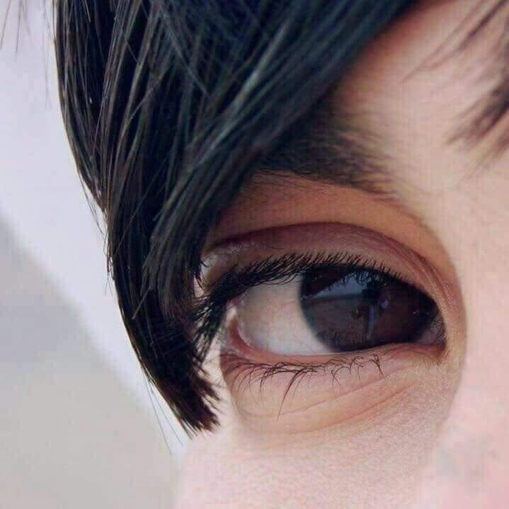 ریس باچا