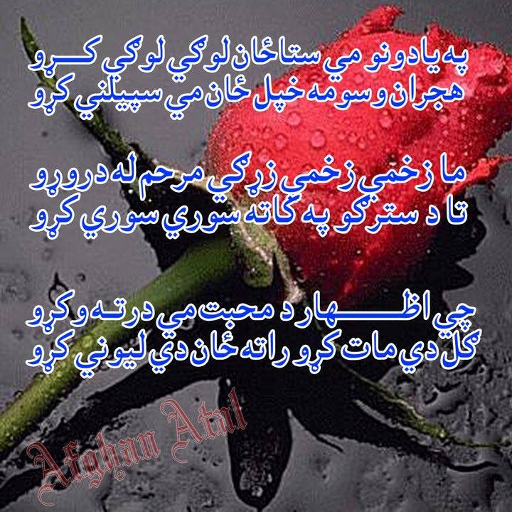 Pushto Poetry