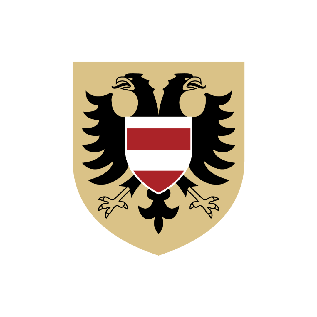 martin-vrubel-m-stostarosta-brno-st-ed