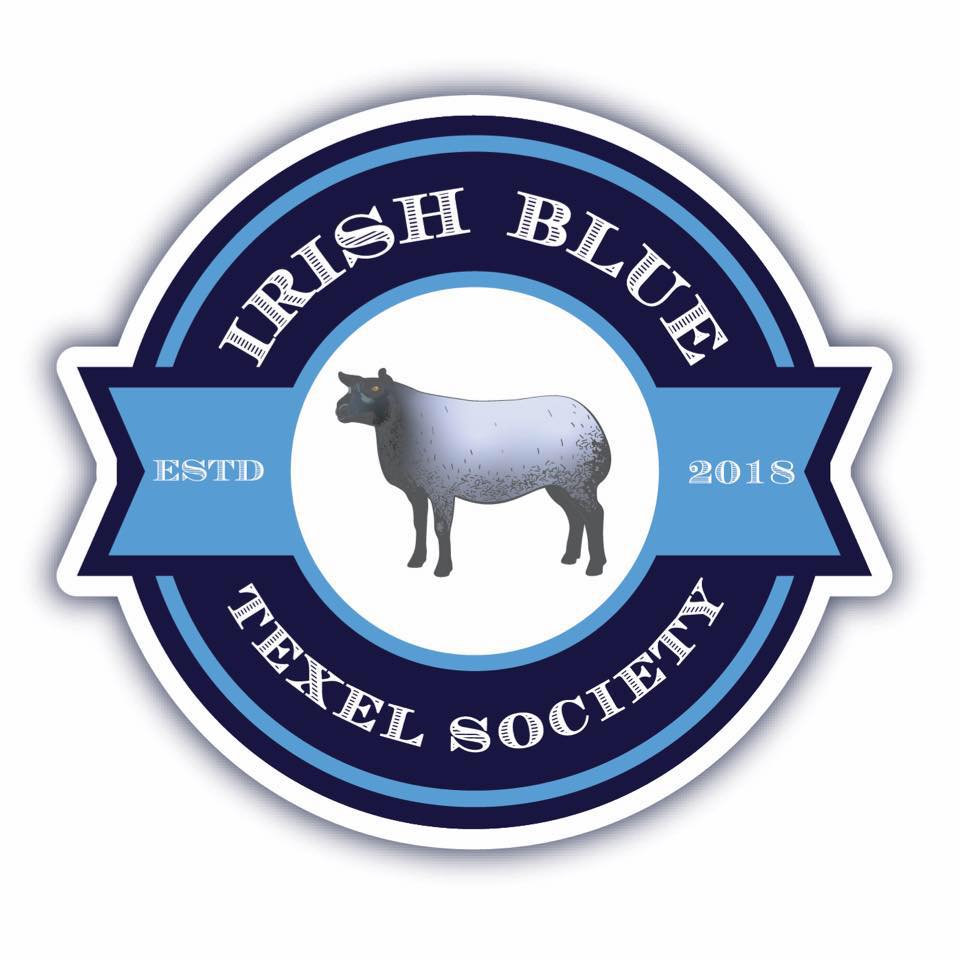 A super example of what Blue Texel & Dassenkop rams can produce! 🐑 This ...