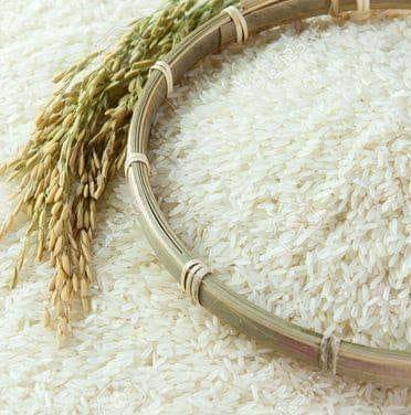 Al-Habib Rice Trader's | Nankana Sahib
