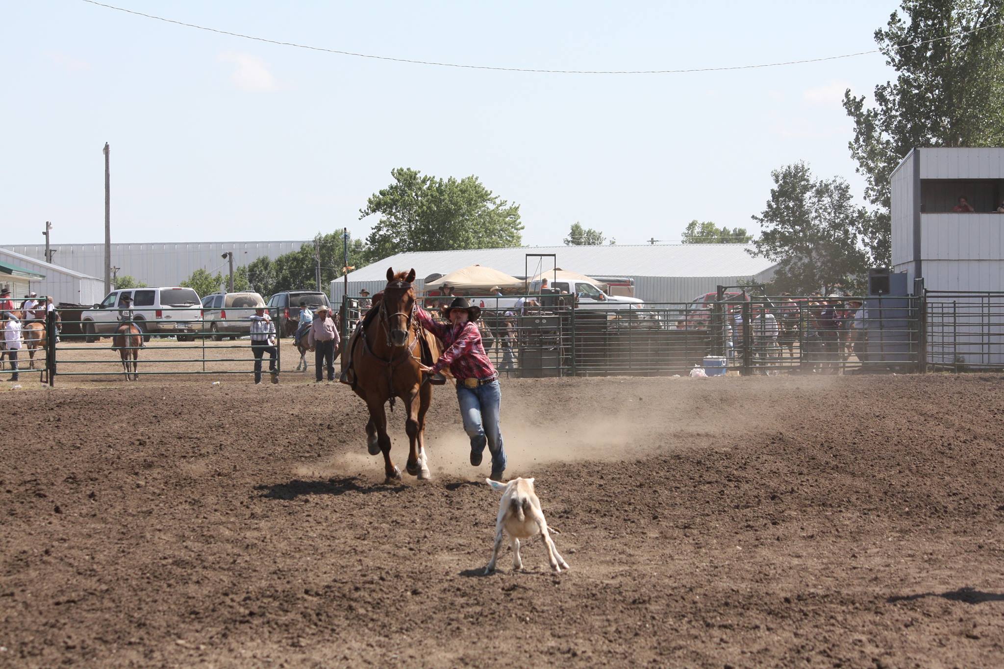 C & M Rodeo Goats
