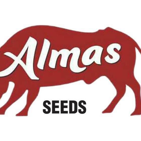 Almas Seed Corporation | Multan
