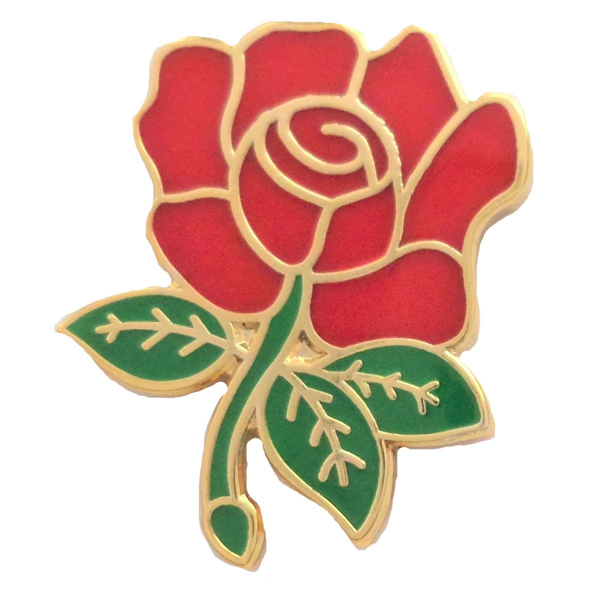 Jane Overhill has... - Norwich Thorpe Hamlet Labour Party | Facebook