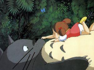 Totoro XXX