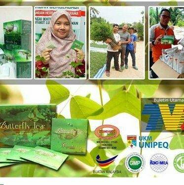 Teh Rerama/Butterfly Tea