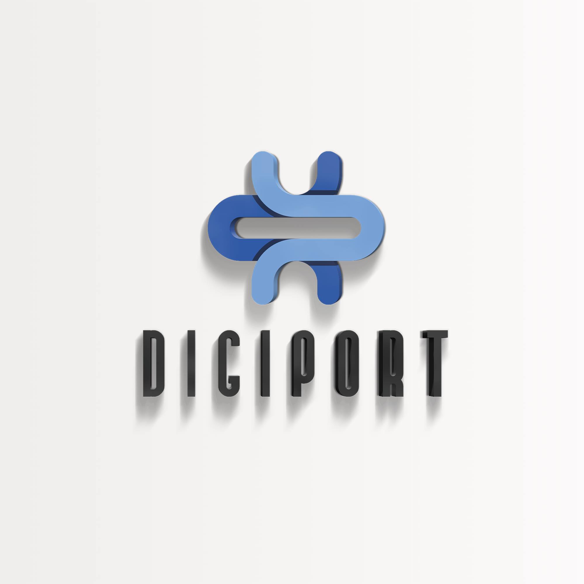 Digiport Blog