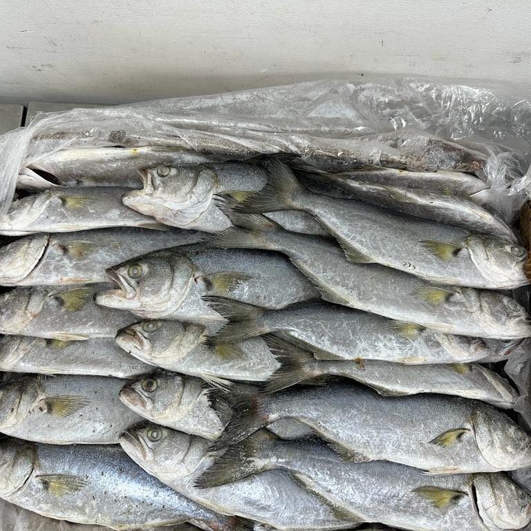 Ashfaq Oman Fisheries