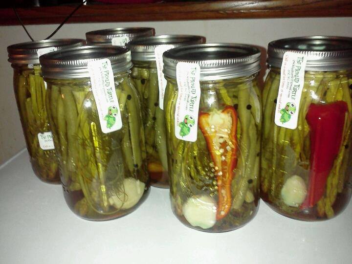 Pickled Turtle