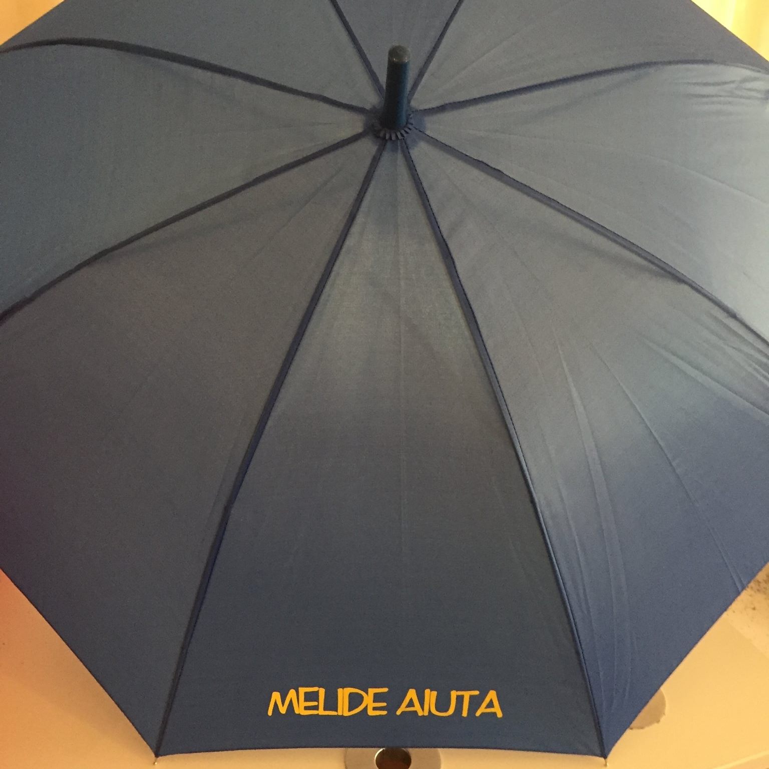 Associazione Melide Aiuta | Melide