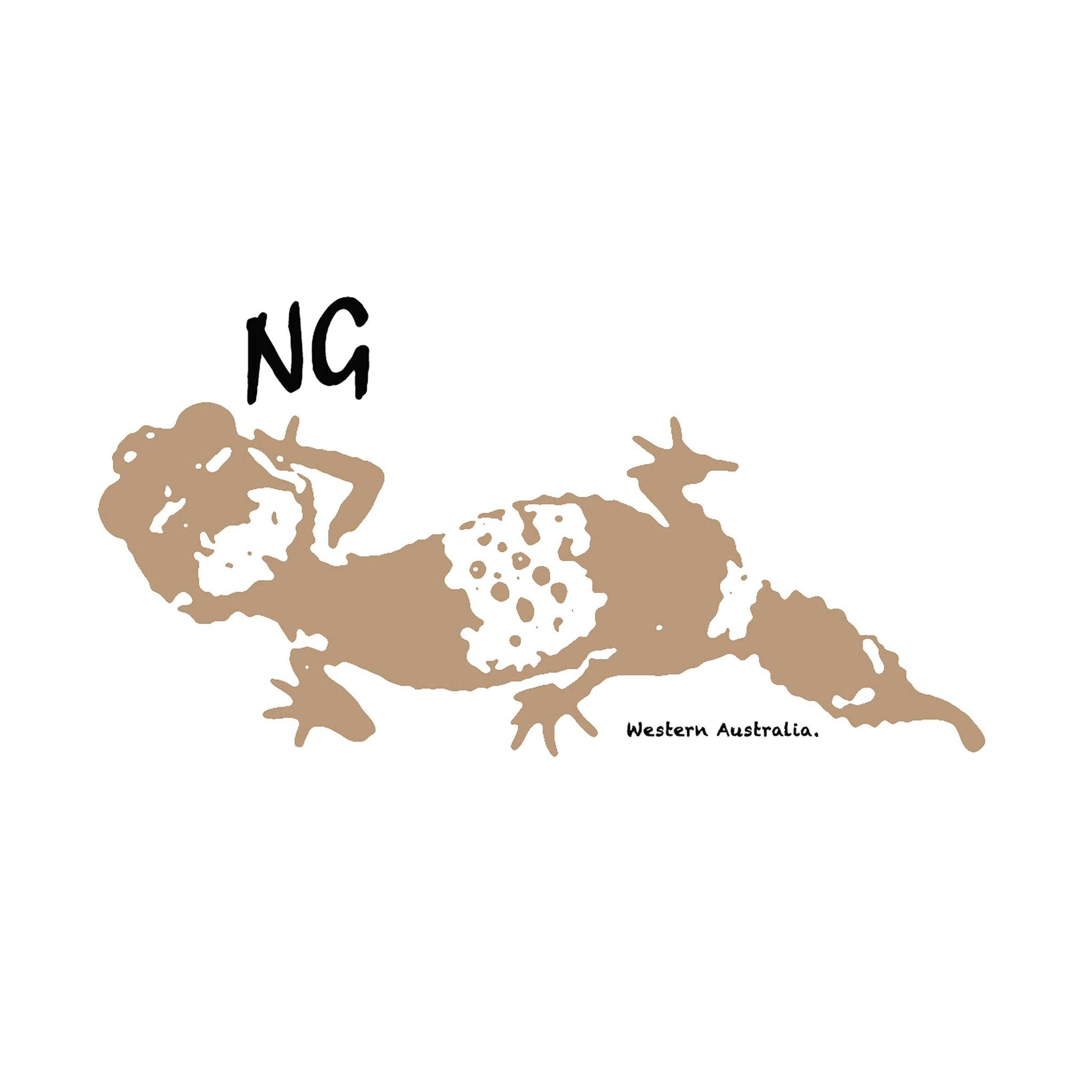 Nephrurus Geckos WA