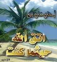 Sunnah tafarkin tsira