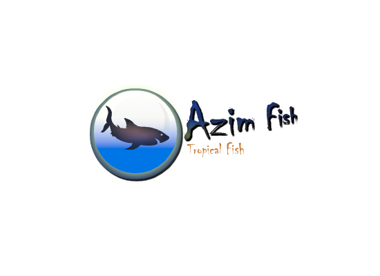 Azim Fish | The Colony TX