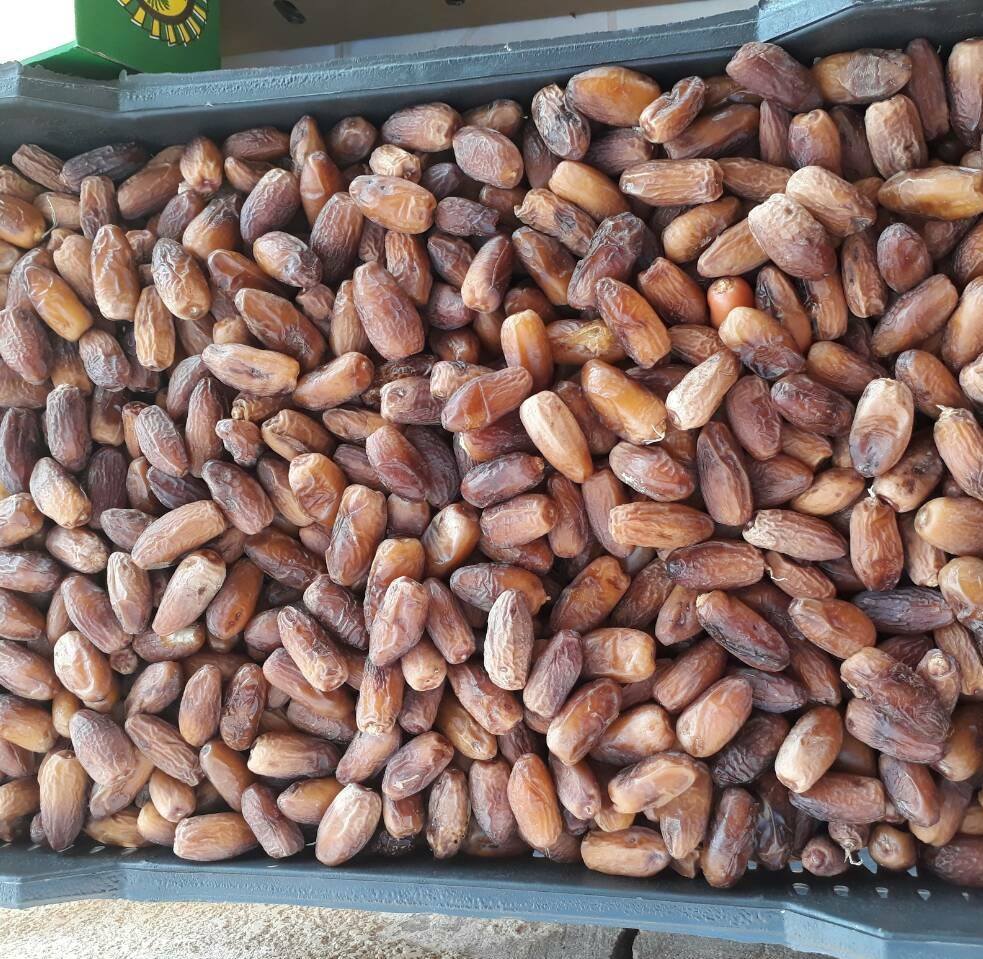 شركة بيداء الجنوب | Socna