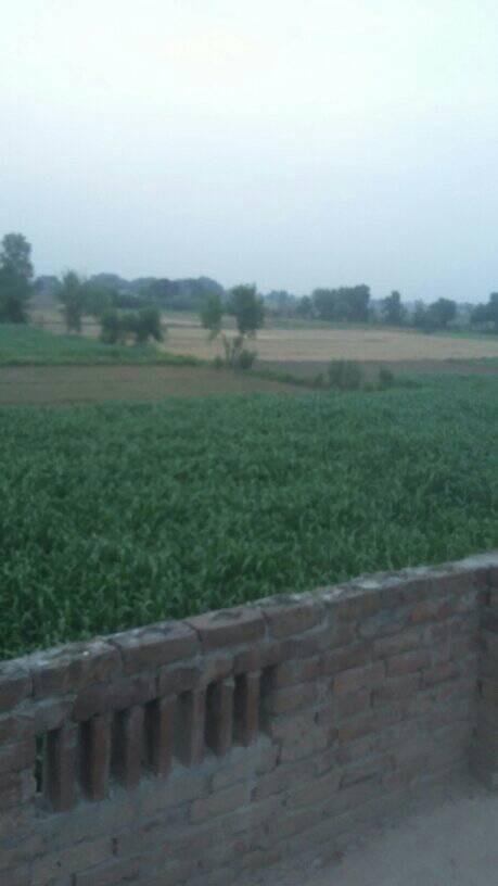 Rasool pur bhattian | Panjab