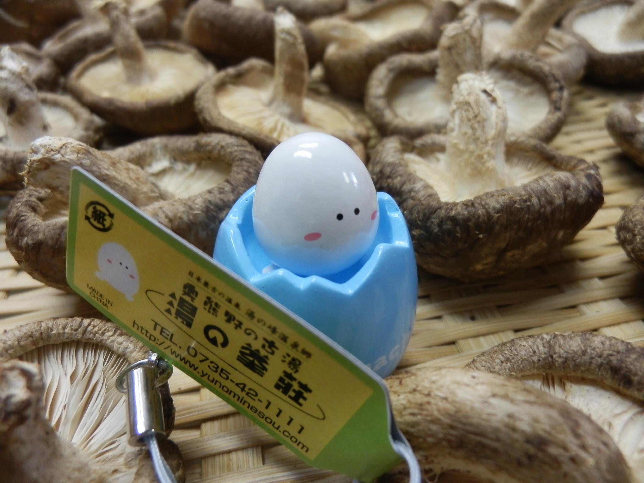 湯 の 峯 荘 炎上