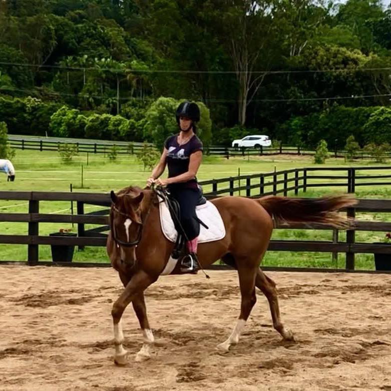 Infinity Equestrian | Sunshine Coast QLD