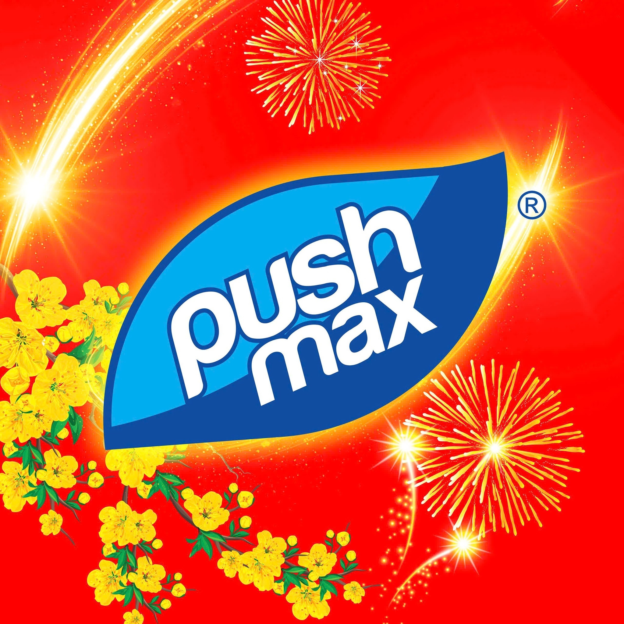Nước trái cây Pushmax - Ép dầu ép mỡ, ai nỡ ép…chọn vị Pushmax 😆 Chanh ...