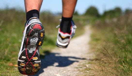 Runner's Guide