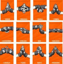 Gudang - Jutsu Raikage : Raiton: kuropansa (petir hitam) raiton ...