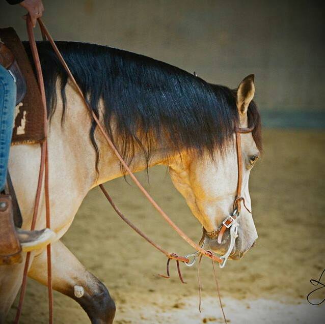 Triple A Ranch | Herzogenaurach