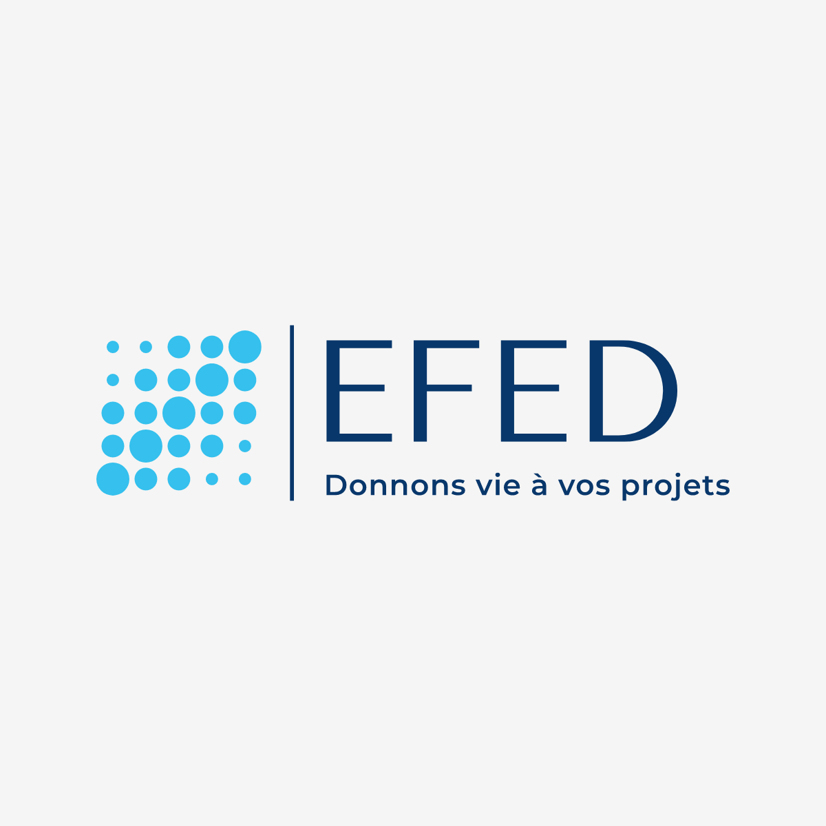 EFED - Etude Française des Energies Durables